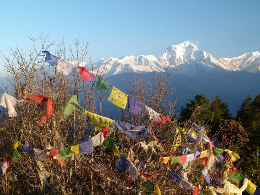 Pokhara: 3 Days Ghorepani poon hill trek - An Authentic Trek Through the Annapurna Himalayas
