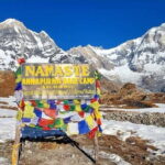 Pokhara: 5-Day Annapurna Base Camp Trek with Hot Spring - Day 2: Sinuwa to Deurali — Forests and Rhododendrons
