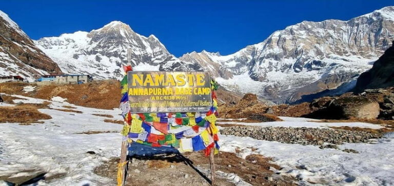 Pokhara: 5-Day Annapurna Base Camp Trek with Hot Spring - Day 2: Sinuwa to Deurali — Forests and Rhododendrons