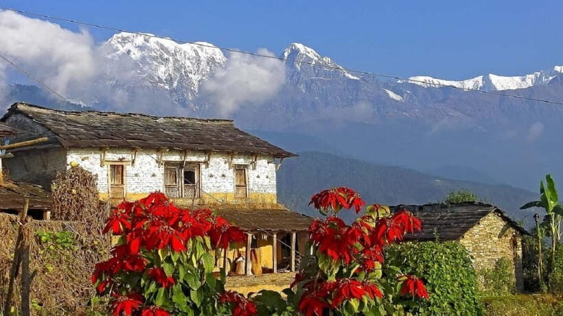 Pokhara: Annapurna Day Hike with Panoramic Views - What’s Included and What to Expect