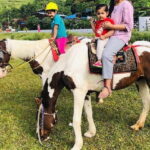 Pokhara: Horseback Riding Adventure with Hotel Pickup - What to Expect During the Tour