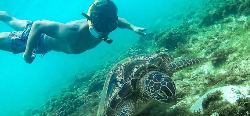 Port Barton: Island Hopping to Turtle Spot & Reef with Lunch - An In-Depth Look at the Port Barton Island Hopping Experience