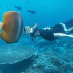 Private All Inclusive Nusa Penida Snorkeling and Tour - Manta Point: The Marine Marvel