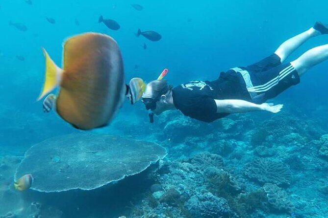 Private All Inclusive Nusa Penida Snorkeling and Tour - Manta Point: The Marine Marvel