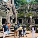 Private Angkor Wat and Lost Temple Jungle Tour - Logistics and Experience