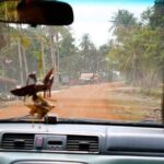 Private Angkor Wat Tour from Siem Reap - The Itinerary: A Day in the Angkor Temples