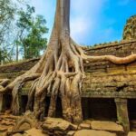 Private Cambodia 5 Days Tour from Siem Reap to Phnom Penh - The Itinerary Breakdown