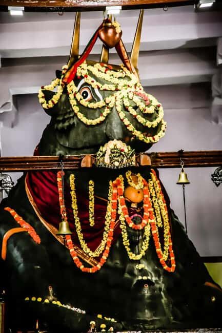 Private car and driver Bangalore Excursion to Bannerghatta - Why This Tour Is a Wise Choice