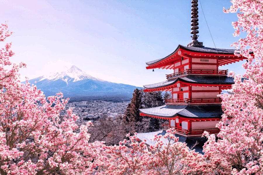 Private charter car one day trip for Mt fuji - What Makes This Tour Stand Out?