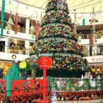 Private Custom Shopping Tour: Delhi's Bustling Markets - FAQs