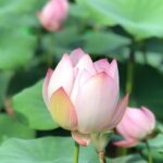 Private Customized Macau Day Tour from Hong Kong - What Makes This Tour Stand Out?