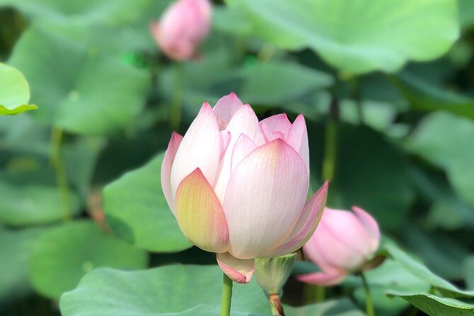 Private Customized Macau Day Tour from Hong Kong - What Makes This Tour Stand Out?