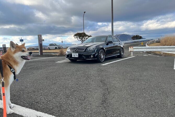 Private Daikoku Parking Area, Hakone turn Pike, Umihotaru Tours - A Look at the Itinerary