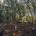 Private Day Tour : From Madurai to Enchanting Kodaikanal - What Makes This Tour Stand Out?