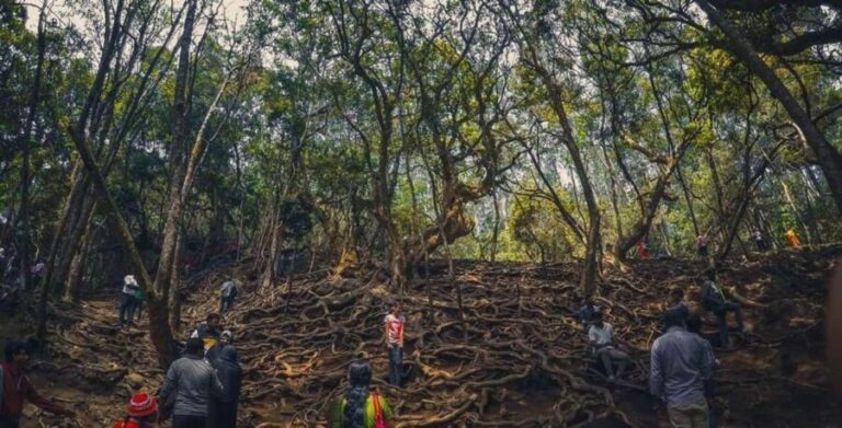 Private Day Tour : From Madurai to Enchanting Kodaikanal - What Makes This Tour Stand Out?