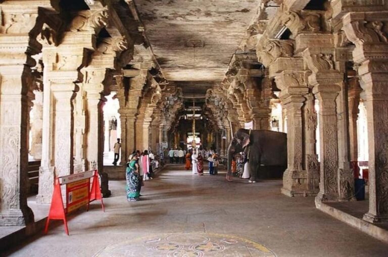 Private Day Tour to Trichy, Tanjore, Chettinad from Madurai - Transportation and Comfort
