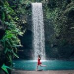 Private Day Tour To Waterfalls And Ubud Sightseeing - What’s Included & What’s Not