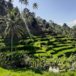 Private Driver in Bali with English Speaking - In-Depth Look at the Itinerary