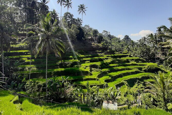 Private Driver in Bali with English Speaking - In-Depth Look at the Itinerary