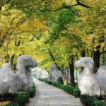 Private Flexible Nanjing City Day Trip from Shanghai by Bullet Train - Authenticity and the Guide Experience