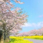 PRIVATE Flexible Tour Cruise Ship international ferry terminal - Itinerary Breakdown: What’s Included and What to Expect