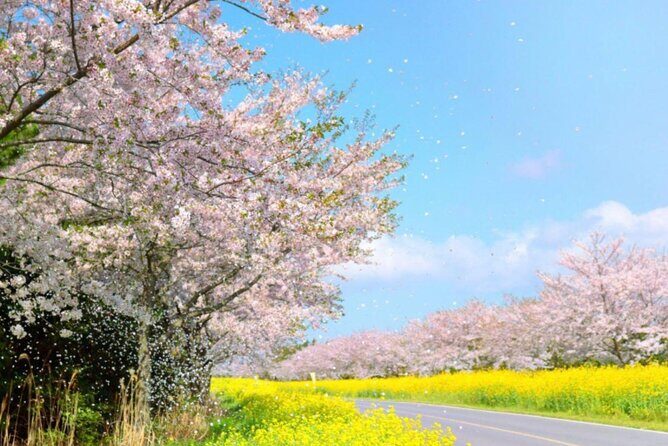 PRIVATE Flexible Tour Cruise Ship international ferry terminal - Itinerary Breakdown: What’s Included and What to Expect