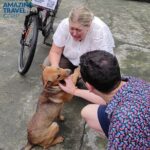 Private Full-day Tour in Quintessence of Ninh Binh - A Deep Dive into the Itinerary