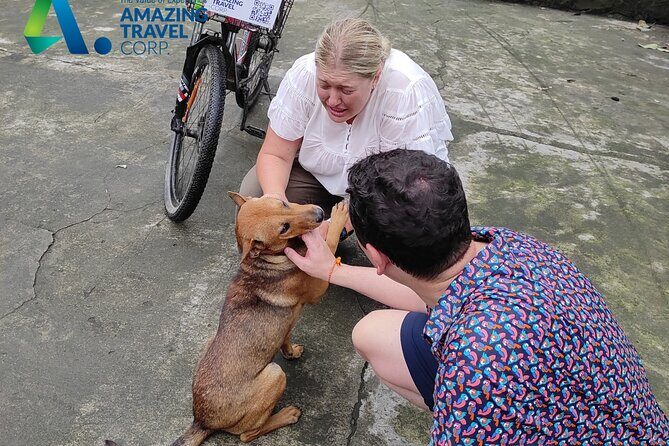 Private Full-day Tour in Quintessence of Ninh Binh - A Deep Dive into the Itinerary