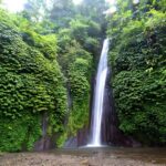 Private Full-Day Tour : North Bali Trip to Discover The Culture of Bali Island - What Makes the North Bali Tour Stand Out?