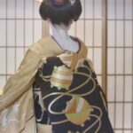 Private geisha show with Maiko, an geisha apprentice - Detailed Review of the Tour Experience