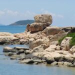 Private Half-Day Nha Trang City Tour from Cruise Port - Practical Details and Value