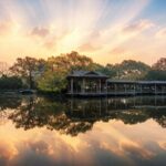 Private Hangzhou Day Tour from Shanghai by Bullet Train - What Makes This Tour Stand Out?