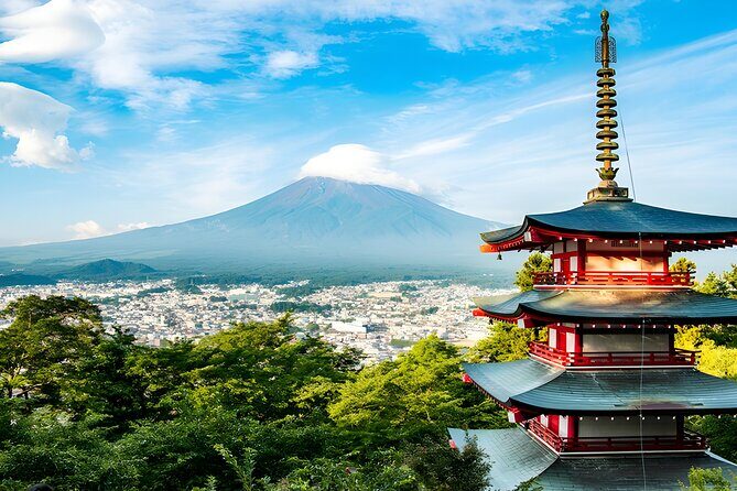 Private Mt. Fuji Day Trip from Tokyo with English-Speaking Driver - Detailed Breakdown of the Itinerary