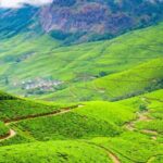"Private Munnar Day Tour: Trekking & Scenic Highlights" - Analyzing the Value