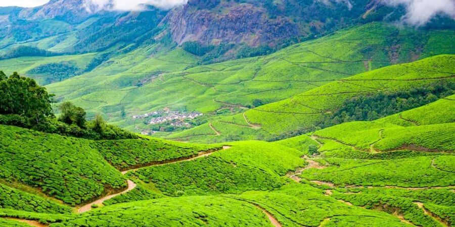 "Private Munnar Day Tour: Trekking & Scenic Highlights" - Analyzing the Value