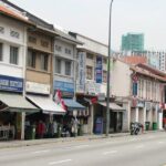 Private Singapore Full Day Highlights Tour with River Cruise Ride - Practical Tips for Future Travelers