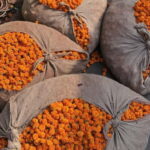 Private Tour by Tuk-Tuk for Sightseeing in Jaipur - Practical Aspects and Comfort