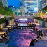 Private tour guide service in Seoul, Korea - Practical Considerations and Tips