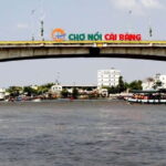 Private Tour Mekong Delta Cai Rang Floating Market - Who is This Tour Best Suited For?