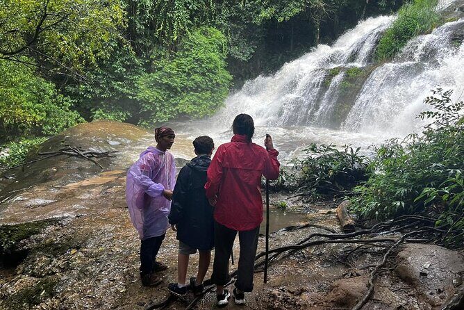 Private Tour to Doi Inthanon including Twins Pagodas and Hiking - The Food and Accommodation