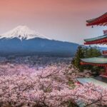 Private tour to Mount Fuji and Hakone from Tokyo - A Well-Planned and Varied Itinerary