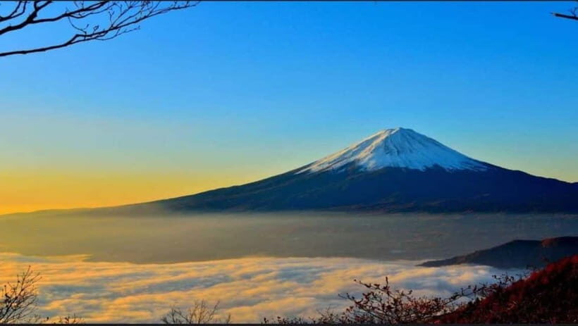 Private Tour to Mt Fuji and Hakone with English Driver - An In-Depth Look at the Mount Fuji and Hakone Private Tour