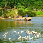 Private tour to Ninh Binh: Bai Dinh, Trang An, Mua Cave - What Sets This Tour Apart