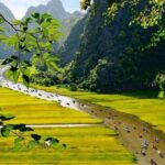 Private Transfer One Way From HANOI > NINHBINH - Insights from Reviews and Real Experiences