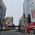 Private Trip to Sightseeing Spots in Eastern Tokyo. - FAQ