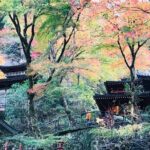 Private Walking Tour in Bamboo Forest & Hidden Spots in Arashiyama - Who Is This Tour Best Suited For?