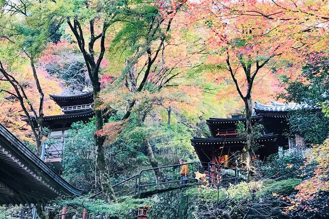 Private Walking Tour in Bamboo Forest & Hidden Spots in Arashiyama - Who Is This Tour Best Suited For?