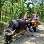 Pu Luong: Bamboo Bridge, Cooking Class & Buffalo Ride - What’s Included & What to Keep in Mind