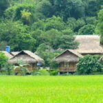 Pu Luong: Off-Road Trekking and Waterfall Tour with Lunch - Final Thoughts