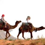 Pushkar Day Trip with Camel Safari From Jaipur By Car. - Final Thoughts: Who Should Consider This Tour?